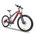 Vente chaude Electric Mountain Bicycle